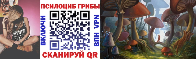 Псилоцибиновые грибы Psilocybe  Сасово 