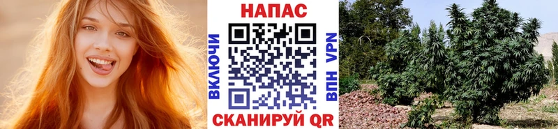 мориарти Telegram  Сасово  Шишки марихуана марихуана  закладки  mega ONION 